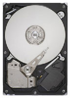 Seagate ST32000445SS